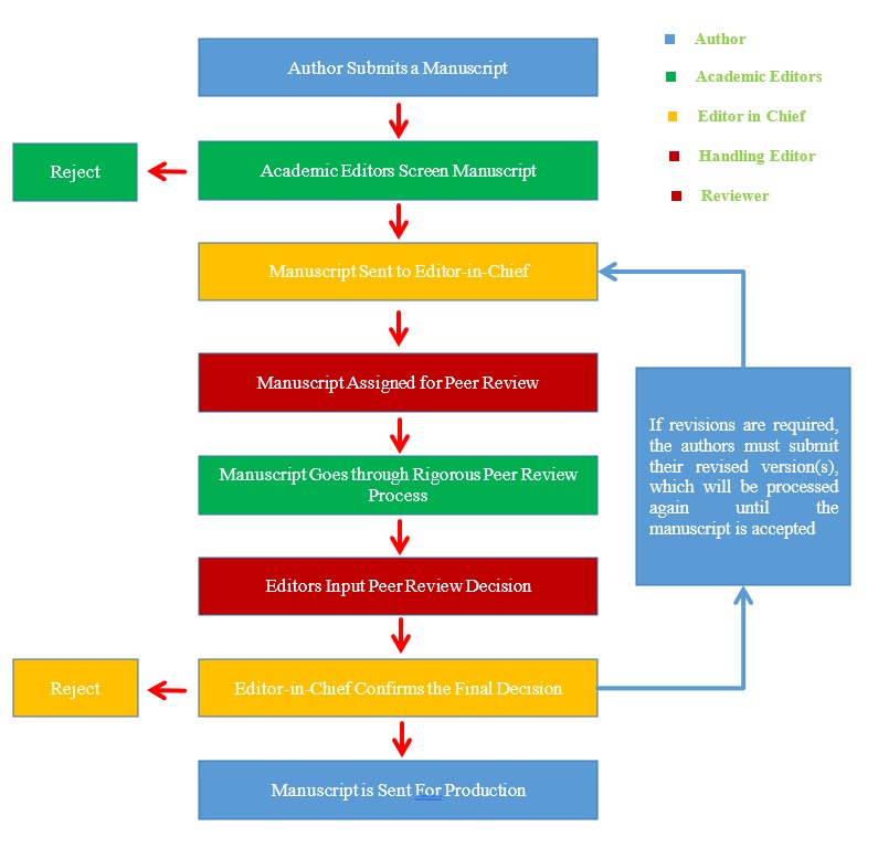 Review Workflow